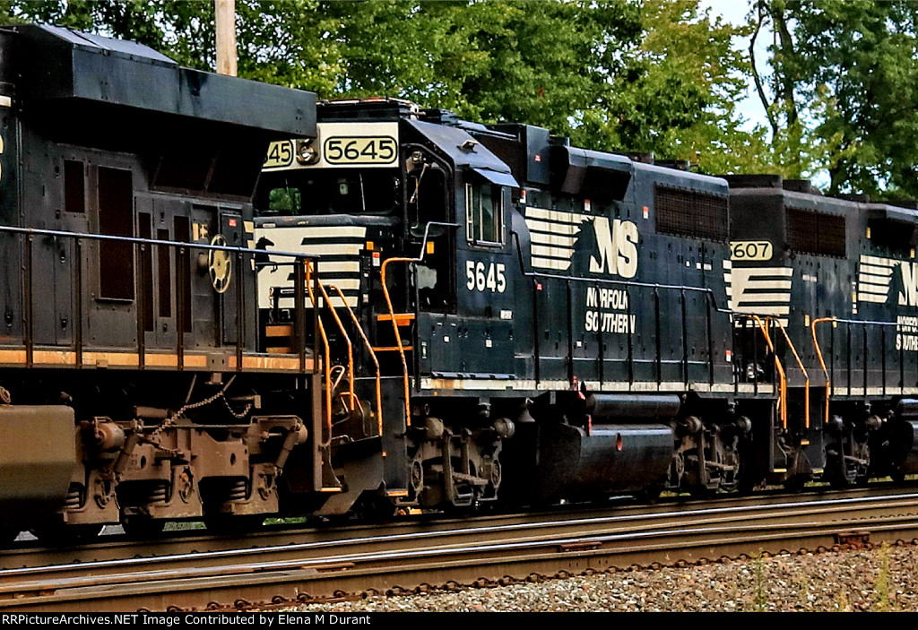 NS 5645 on H-55